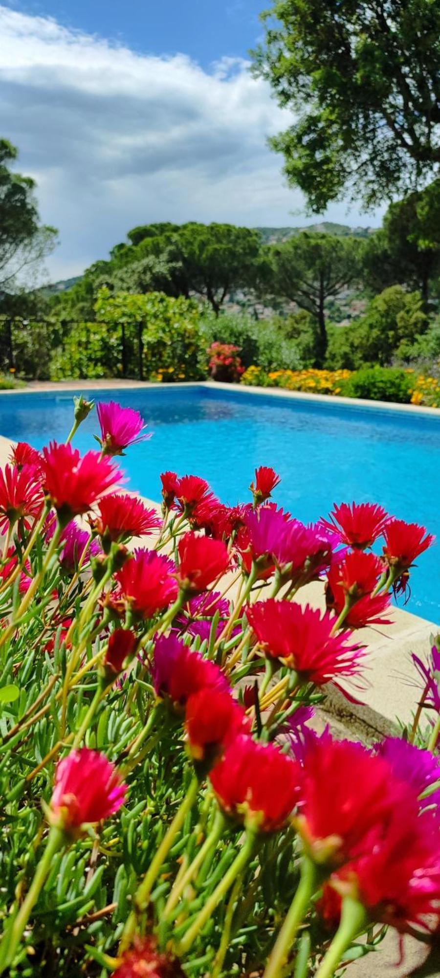 Villa Boheme Costa Brava Calonge (Catalonia) Exterior foto