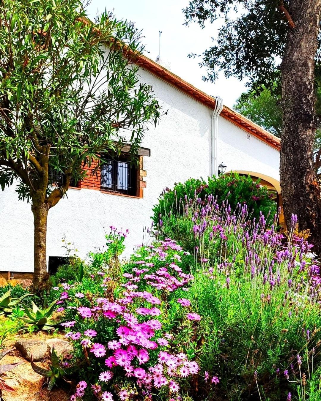 Villa Boheme Costa Brava Calonge (Catalonia) Exterior foto
